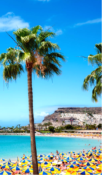 Canary Islands